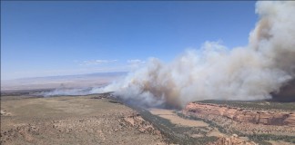 Desert canyon landscape with a large plume of smoke from a wildfire under a blue sky.