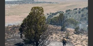 Firefighter in turnout gear stands on a scorched hillside after a wildfire, with smoke in the air and charred ground.