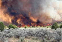 Millard Co. Sheriff: Traffic restrictions in place due to Tower Fire Wildfire on a hillside with thick smoke and orange flames, foreground features scrubby brush and trees along a road with parked cars nearby
