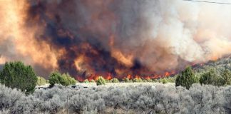 Wildfire on a hillside with thick smoke and orange flames, foreground features scrubby brush and trees along a road with parked cars nearby