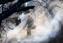 Beaver City, County Commission declare state of emergency due to severe flooding Firefighter in protective gear walks through smoke-filled forest, carrying an axe and gear helmet.