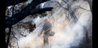 Firefighter in protective gear walks through smoke-filled forest, carrying an axe and gear helmet.