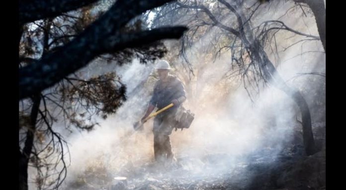 Firefighter in protective gear walks through smoke-filled forest, carrying an axe and gear helmet.