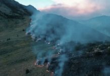 Middle Fork Fire in Ogden Valley grows to 334 acres