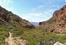 Desert canyon with red rock cliffs, a dirt trail winding through green shrubs under a blue sky. (informative)