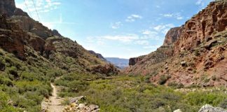 Desert canyon with red rock cliffs, a dirt trail winding through green shrubs under a blue sky. (informative)