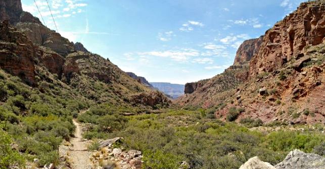 north-kaibab-trail-copy Desert canyon with red rock cliffs, a dirt trail winding through green shrubs under a blue sky. (informative)