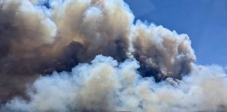 Massive smoke plume rising from a dry landscape, indicating a wildfire on the horizon.