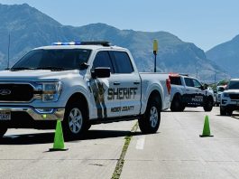 White sheriff pickup with blue emergency lights leading a convoy of police vehicles on a mountain highway, with green cones in the road.