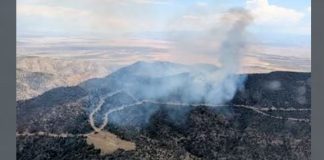 Aerial view of a forest fire with a smoky plume rising from burned hills and a winding road cutting through the landscape.