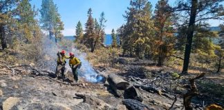 Two firefighters in yellow suits and helmets extinguish a small brush fire in a forest clearing with smoke rising above charred ground.