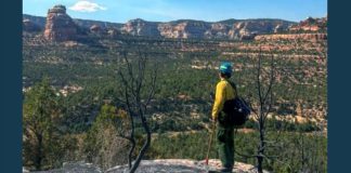 Hiker wearing a yellow jacket and helmet stands on a rocky overlook, gazing at a canyon landscape.