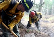Two firefighters in yellow turnout gear and helmets dig with shovels in a smoky forest scene.