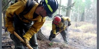 Two firefighters in yellow turnout gear and helmets dig with shovels in a smoky forest scene.