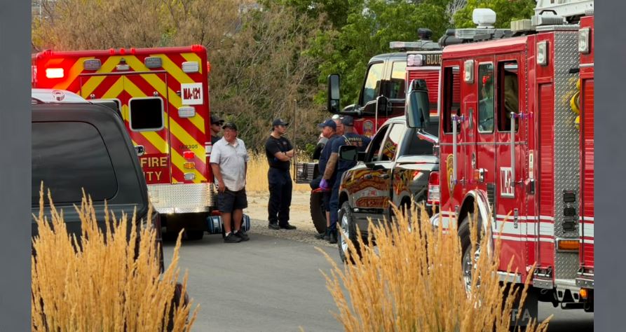 Emergency responders stand near red fire trucks and an ambulance on a road, with dry grass in the foreground, talking or planning.