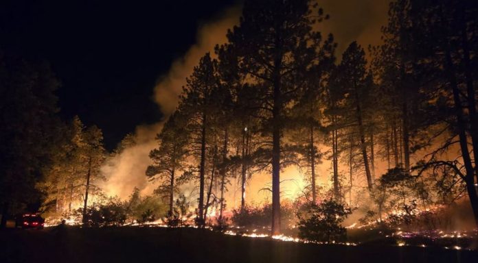 Fire National interagency fire center