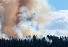 Grizzly Ridge Fire grows to 23 acres in Vernal Ranger District of Ashley Nat’l Forest Smoke rises from a forest fire at the tree line with a blue sky and clouds in the background.