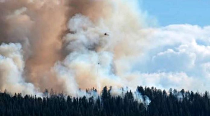 Grizzly Ridge Fire