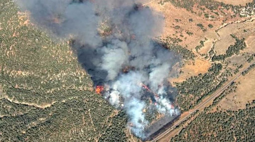 Mineral Gulch 7 4 | Gephardt Daily