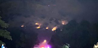 Nighttime hillside fire with multiple glowing flames and smoke, emergency lights visible at street level below trees.