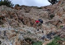 Cliffed out hiker rescued from Mt. Superior, Little Cottonwood Canyon Photo: Salt Lake County Sheriff