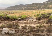 Six rescued by helicopter from flash flooding in Proctor Canyon in Garfield County Arid field with scattered shrubs, a barbed wire fence, and distant mountains under a cloudy sky.