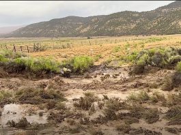 Six rescued by helicopter from flash flooding in Proctor Canyon in Garfield County Arid field with scattered shrubs, a barbed wire fence, and distant mountains under a cloudy sky.
