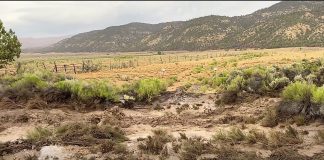 Arid field with scattered shrubs, a barbed wire fence, and distant mountains under a cloudy sky.