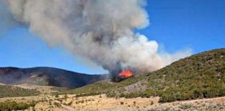 Wildfire on a hillside with flames and a thick smoke plume against a blue sky.