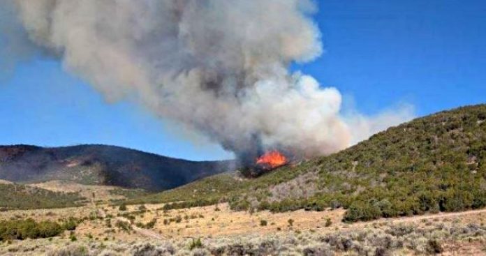 Wildfire on a hillside with flames and a thick smoke plume against a blue sky.
