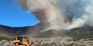 Orange bulldozer on dry scrub as a large smoke plume rises from a distant wildfire in a desert landscape, blue sky above.