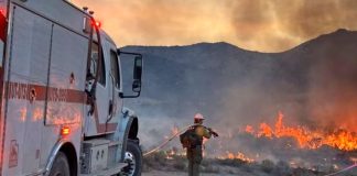 Firefighter in turnout gear spraying water from a hose as a fire truck battles a brush fire in a desert at sunset.