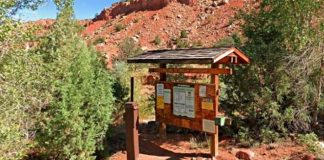 Trailhead bulletin board with posted notices in a desert landscape of red rocks and green shrubs.