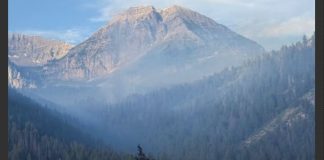 Mist-filled valley with dense evergreen forest and a rocky mountain summit under a blue sky